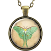 Green Luna Moth Necklace Pendant - Necklaces - 