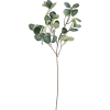 Greenery - 植物 - 