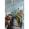 Greenhouse - Nature - 
