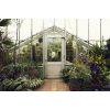 Greenhouse - Rastline - 