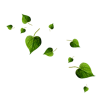 Green leaf scatter - Rośliny - 