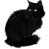 Halloween Black Cat - Tiere - 