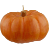 pumpkin - 插图 - 