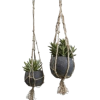 Hanging Plants - Pflanzen - 