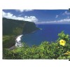 Hawaii - Mie foto - 