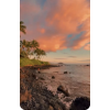 Hawaii - Nature - 