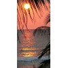 Hawaiin sunset - Uncategorized - 