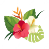 Hbiscus and palm leaves vector - イラスト - 