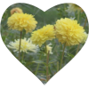 Heart Yellow Flower - Articoli - 