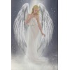 Heavenly Angel - Moje fotografije - 