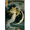 Herrmann co poster - Ilustracje - 