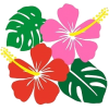 Hibiscus Flowers - Uncategorized - 