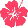 Hibiscus - Uncategorized - 