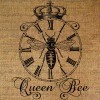 Honey bee - Illustrations - 