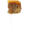 Honeycomb and honey - Živila - 