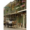 Horse and Buggy on Bourbon Street - その他 - 
