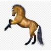 Horses - Tiere - 