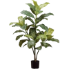 Houseplant - Pflanzen - 