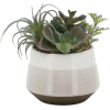 Houseplant - 植物 - 