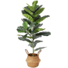 Houseplant pot - Plants - 