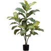 Houseplants - Rastline - 