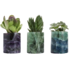 Houseplants - Растения - 