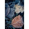 Iced leaves - Natura - 