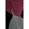 Illus. of Burgundy and Gray Leaves - Altro - 