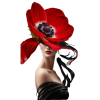 Illustrations - Moje fotografie - 