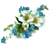 Flower Blue Plants - Rastline - 