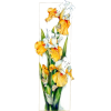 Iris - Plants - 