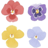 Irises - Illustraciones - 