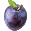 Italian plum - Verdure - 