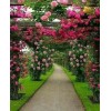 Item 141138a - Other - 