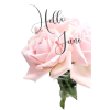 Item 146507a - Other - 