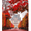 Jardin du Luxembourg Paris automne - Uncategorized - 