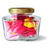 Jar flowers - Plantas - 