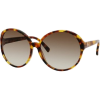 Kate Spade Ginette Sunglasses 0JXV Speckled Tortoise (Y6 Brown Gradient Lens) - Sunglasses - $93.75 