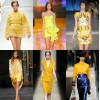 Alexander Mcqueen yellow - ファッションショー - 