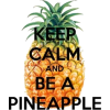 Keep Calm.....Be a Pineapple - その他 - 