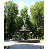 Kiev park - Natureza - 