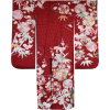 Kimono SHOPKIMONO (KM633) - Vestidos - 