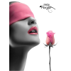 Kiss from a rose - Иллюстрации - 