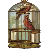 birdcage - 植物 - 