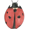 Ladybug - Items - 