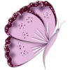 Lavender Butterfly - Uncategorized - 