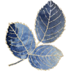 Leaf - Rascunhos - 