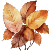 Leaf - Illustraciones - 