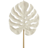 Leaf - Illustrations - 