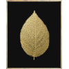 Leaf - Items - 